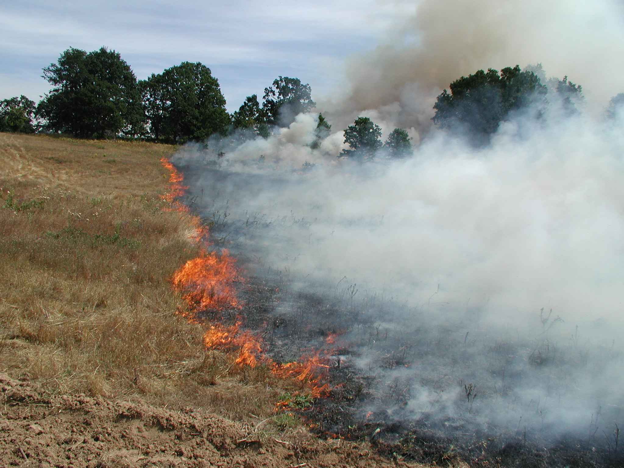 În judeţul Suceava, în interval de cîteva ore, s-au produs două incendii!