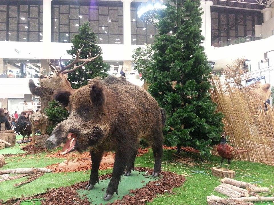 (FOTO) Expoziţia „TROFEE DE VÂNĂTOARE” la Palas Mall Iaşi