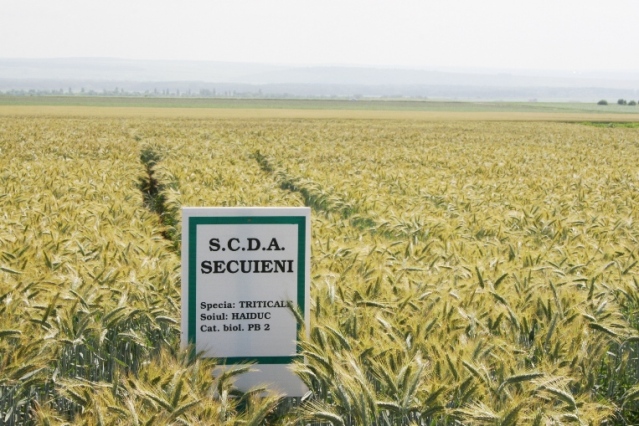 Noutăţi tehnologice pentru plantele de câmp, într-un volum ştiinţific elaborat de Staţiunea de Cercetări Agricole Secuieni, Neamţ – Fermier european cu Petronela Cotea Mihai (17.02.2015)