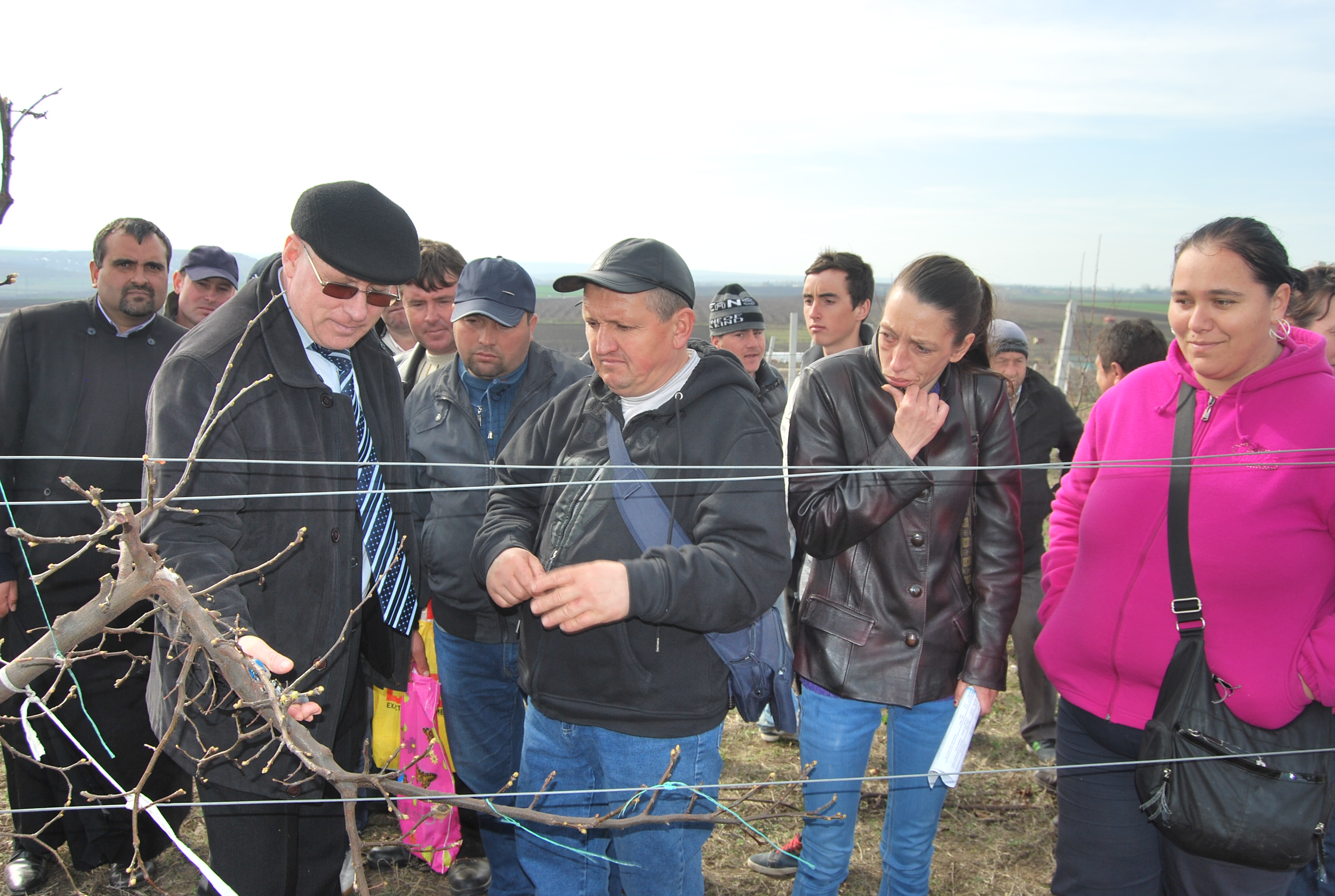 6000 de pomi, pentru sănătate! – MATINAL AGRAR cu Petronela Cotea Mihai (13.03.2016)