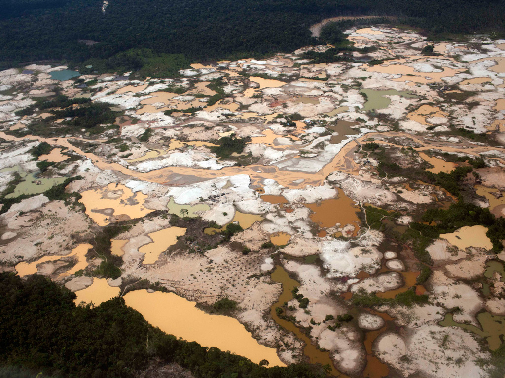 Stare de urgenţă ecologică în zona junglei amazoniene din Peru