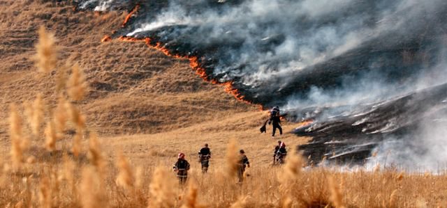 Incendii de vegetaţie scăpate de sub control în Franţa şi Portugalia