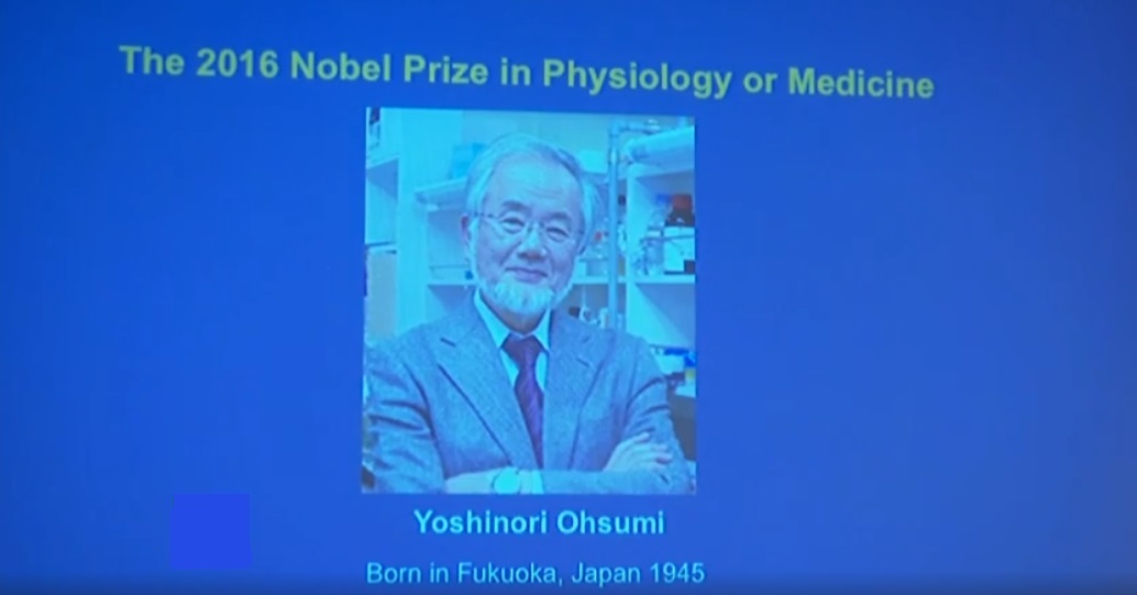 Cercetătorul japonez, Yohshinori Ohsumi, a câștigat premiul Nobel pentru Medicină.