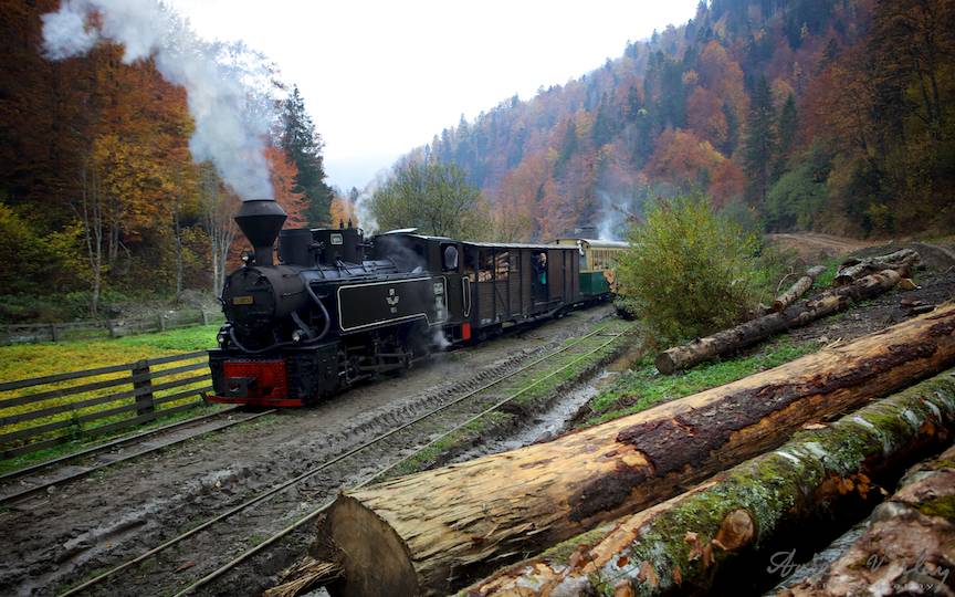 Mocăniţa din Vişeu de Sus, a fost premiată ca destinaţie de excelenţă în 2016 în cadrul Galei Turismului Românesc