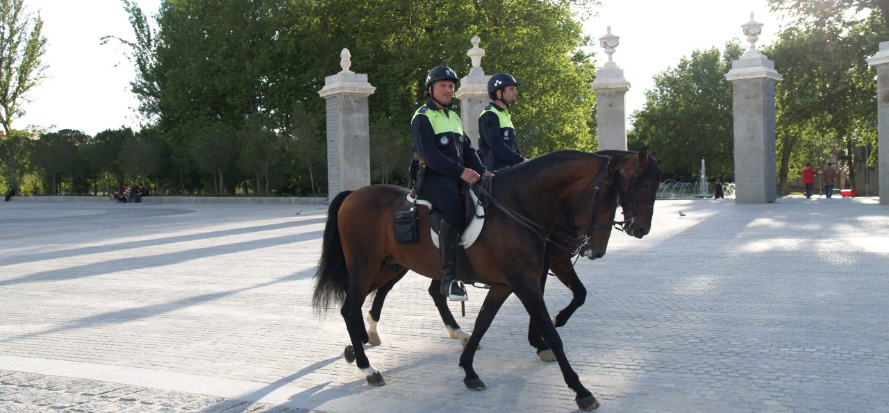 La Iaşi, va fi înfiinţat un departament de Poliţie Călare