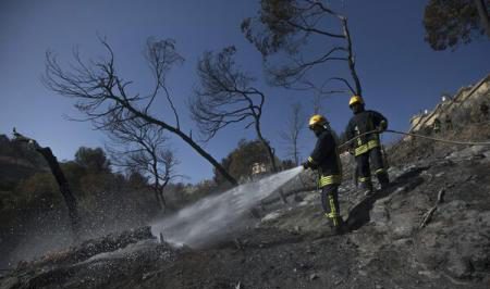 Autoritățile israeliene au arestat 13 persoane bănuite că ar fi declanșat incendiile din centrul și nordul țării