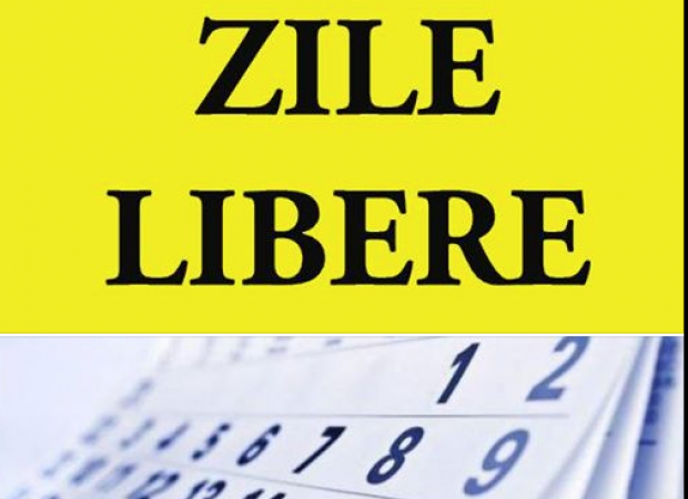 Zilele de 3 ianuarie şi 2 mai 2025, stabilite ca zile libere, cu recuperare (proiect)