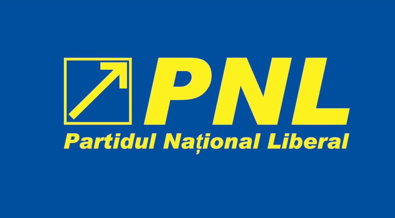 Conducerea PNL se reuneşte astăzi în şedinţă pentru analizarea situaţiei după demisia premierului Tudose