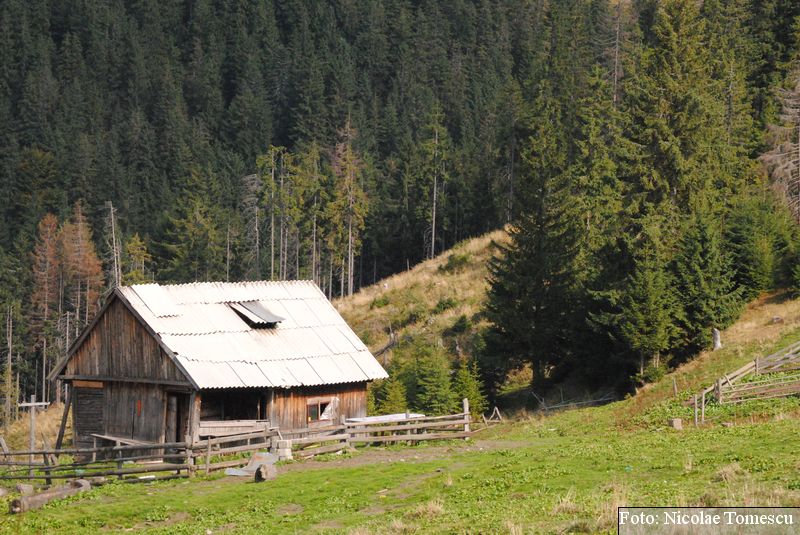 Un sat din trei din România are zone cu semnal slab,foarte slab sau inexistent la Internet (studiu)