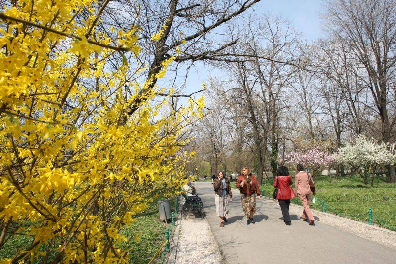 Vreme caldă în Moldova, în următoarele două săptămâni