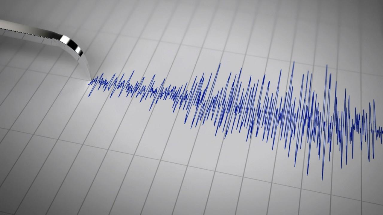 NEWS ALERT – Cutremur în zona seismică Vrancea