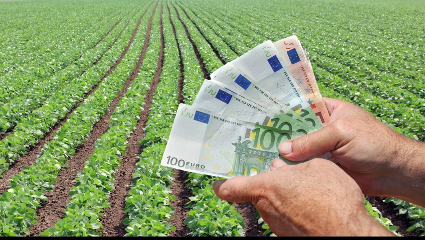 Ministrul Agriculturii: 1 martie este prima zi de primire a cererilor de plată; pe 15 mai se închid obloanele la APIA