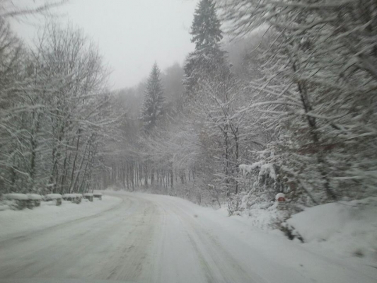 METEO: Cod galben de ninsori însemnate cantitativ şi intensificări ale vântului în mai multe zone din ţară