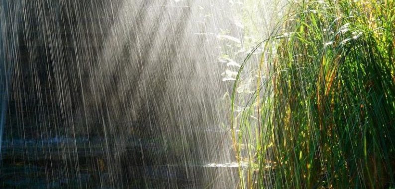 METEO: Ploi, grindină şi vânt în toate judeţele din Moldova