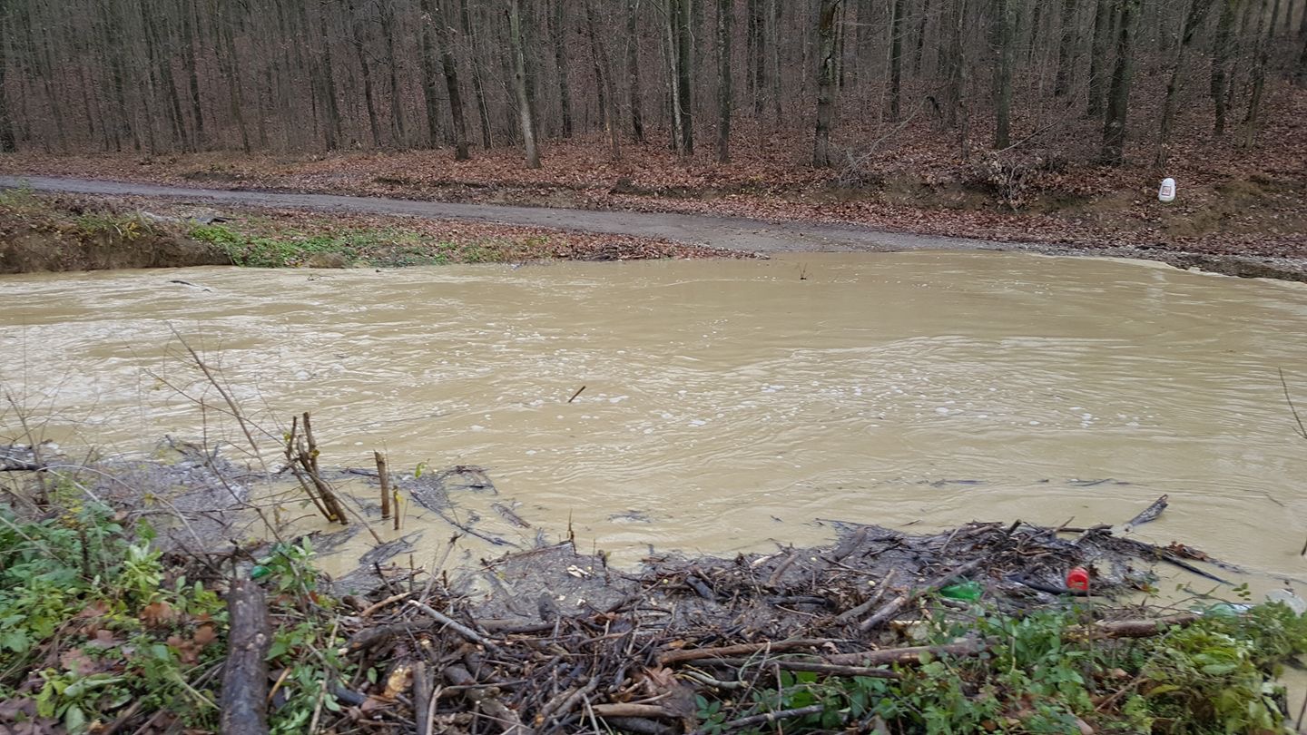 Ploile abundente au provocat pagube majore în judeţele Vaslui şi Neamţ