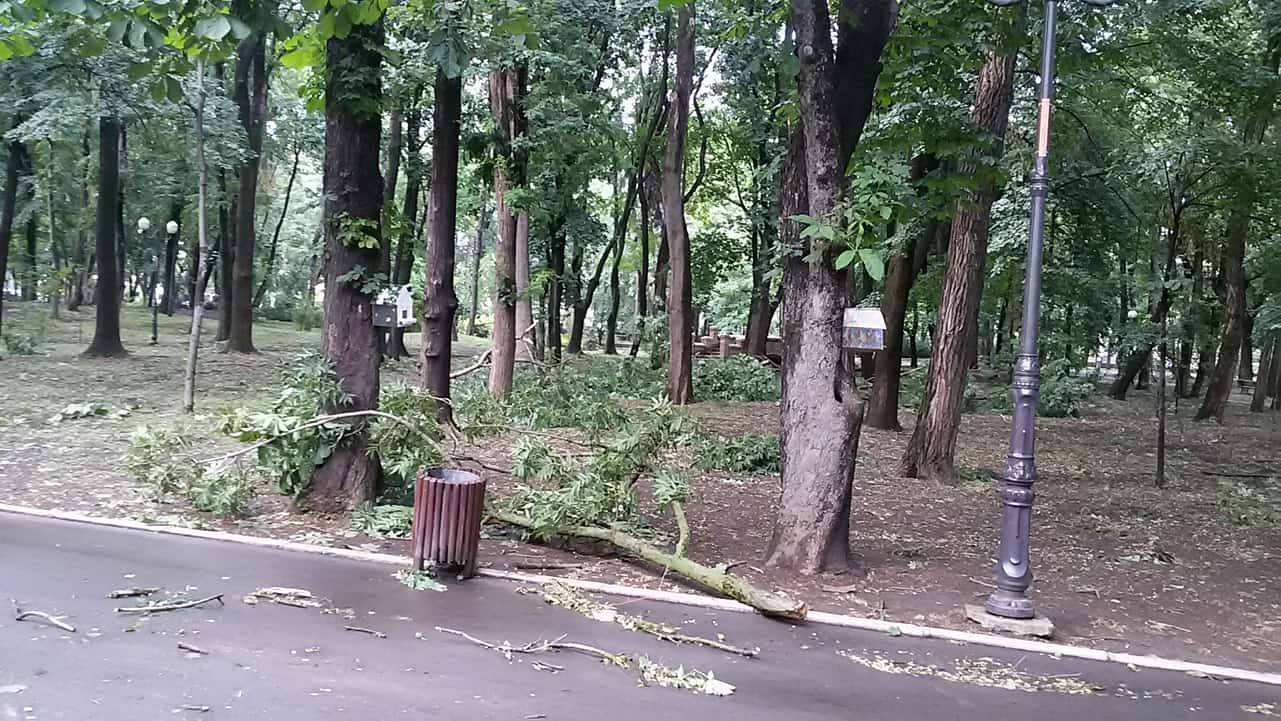 (GALERIE FOTO) Imagini din Parcul Copou după furtuna de astăzi