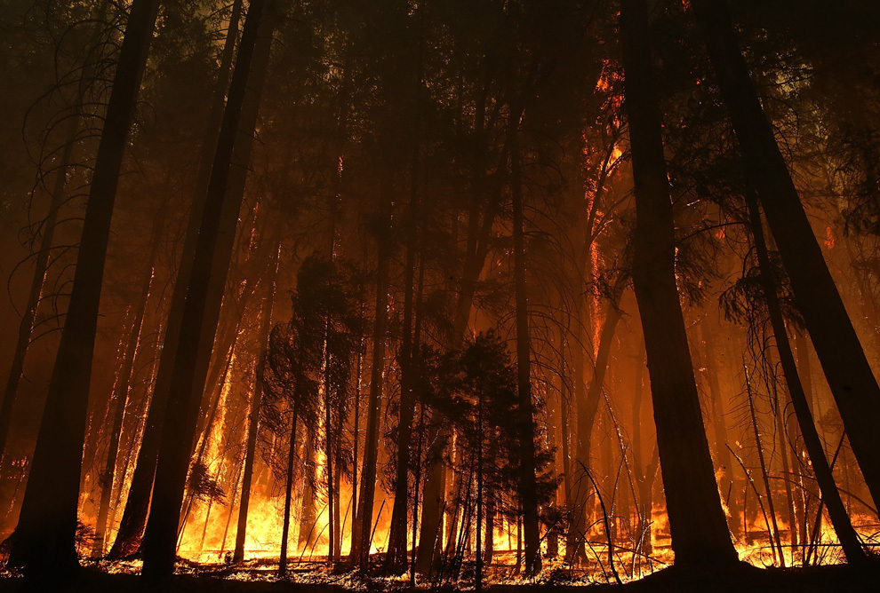 59 de morţi în Portugalia în urma unui incendiu de pădure