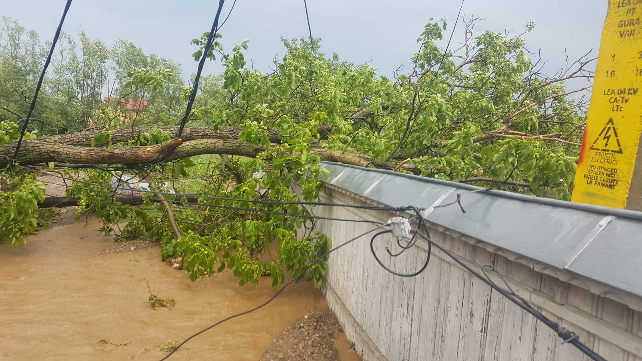 (AUDIO/FOTO) NEAMŢ: Curţi inundate, drumuri acoperite de ape şi copaci doborâţi de vânt din cauza vremii