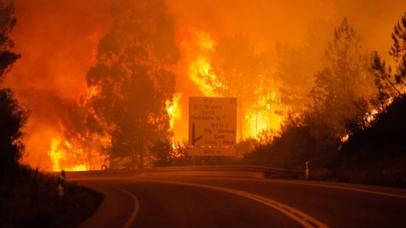 Ambasadorul României la Lisabona, Ioana Bivolaru, despre incendiul de vegetaţie din Potrugalia