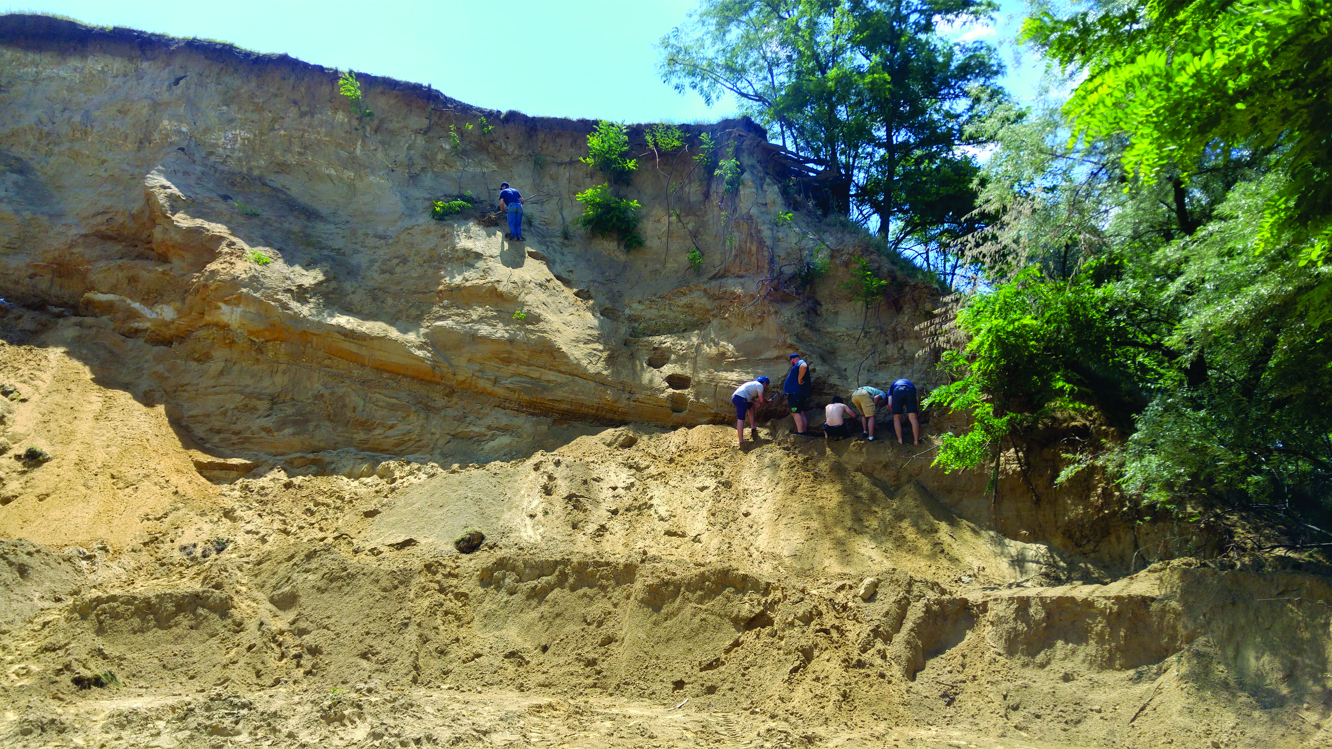 (FOTO) Iaşi: Studenţii de la Geologie alături de un profesor de la Harvard au descoperit resturi fosile de rinoceri în judeţul Vaslui