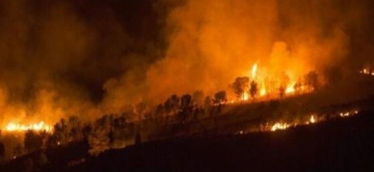 Incendiu într-o pădure din zona industrială a municipiului Vaslui