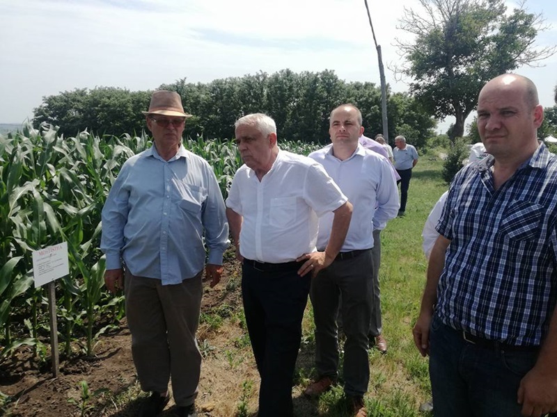 Ministrul Agriculturii anunţă că subvenţiile agricole pentru 2017 se vor plăti începând cu 15 octombrie