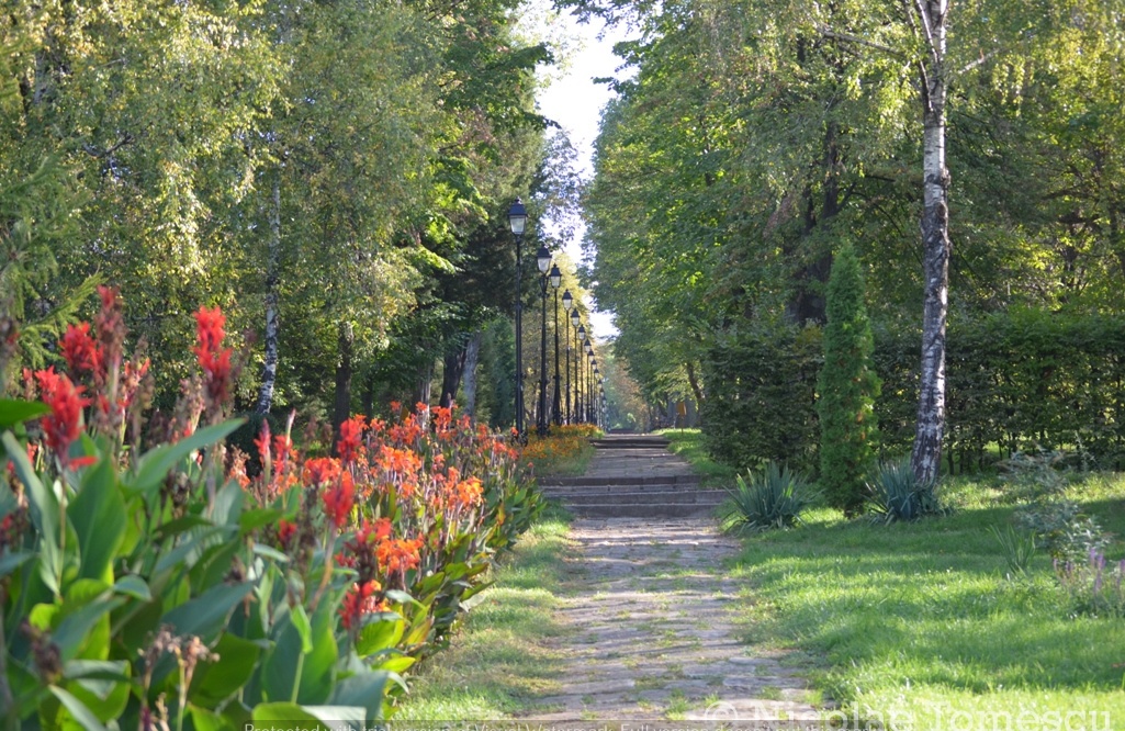 Galaţi: Grădina Botanică şi Parcul Zoo se redeschid pentru public din 15 mai