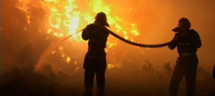 Botoşani: Zeci de tone de furaje au ars şi mai multe animale au murit într-un incendiu puternic la un depozit