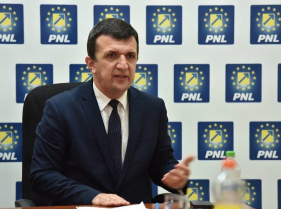 PNL susţine necesitatea adoptării Codului Patrimoniului Cultural Naţional