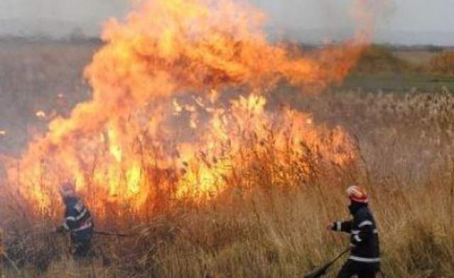 Incendiu violent la ieşirea din Iaşi, dinspre Păcurari