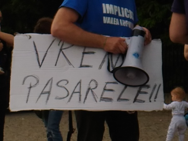 (AUDIO) IAŞI: Nou protest al locuitorilor din Valea Lupului