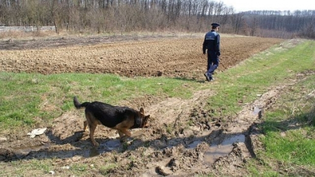 Suceava: Copilul căutat de poliţişti a fost găsit mort, la un kilometru de casă