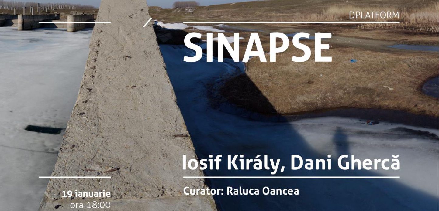 (AUDIO) Iași: „Sinapse” – Artiștii Iosif Király și Dani Ghercă expun la Borderline Art Space – INTERVIU – Ioana Soreanu