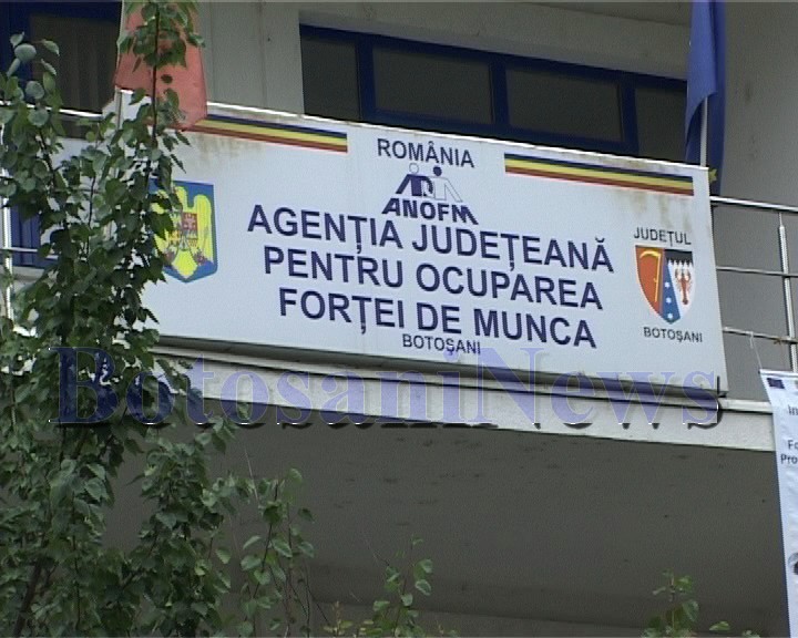 AJOFM Botoșani organizează, vineri, Bursa generală a locurilor de muncă