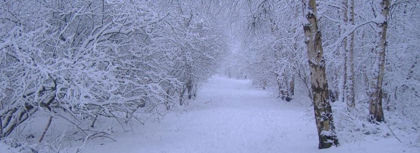 Un val de frig va intra în ţară şi va persista în perioada următoare