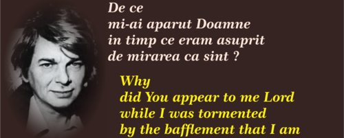 Nichita Stănescu: „Poetul nu are biografie; biografia lui este, de fapt, propria lui operă(…)”