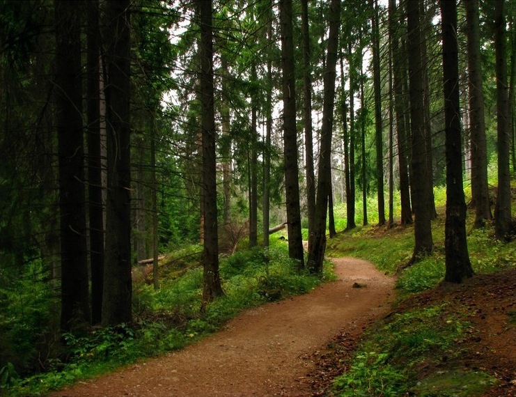 Neamţ: A fost redeschis traseul turistic: Staţiunea Durău – Cascada Duruitoarea – Piciorul Şchiop – Cabana Dochia din Masivul Ceahlău