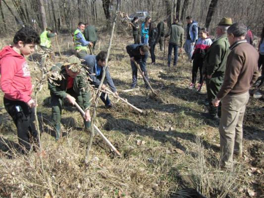 A doua etapă a acțiunii de împădurire „Mobilizatron” va avea loc sâmbătă, la Iaşi