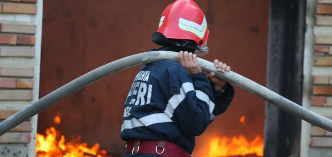 Vrancea: Tragedie la o fermă din comuna Cârligele. 27 de animale au murit în incendiu