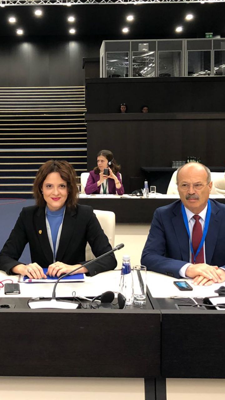 Participarea senatorului Silvia-Monica Dinică și a senatorului Marin Gheorghe la ,,Reuniunea Preşedinţilor Comisiilor pentru Energie din Parlamentele Uniunii Europene” (Sofia/Bulgaria, mai 2018)