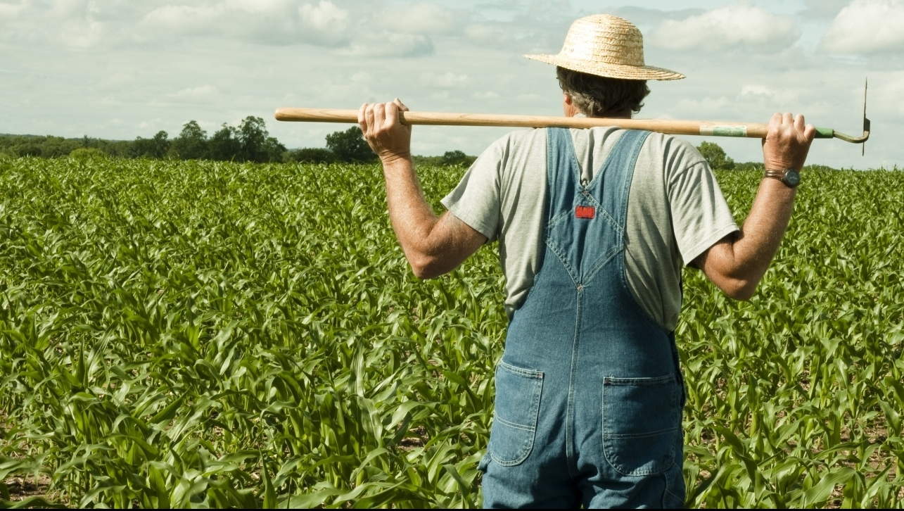 România, pe primul loc în UE la ponderea populaţiei ocupată în agricultură