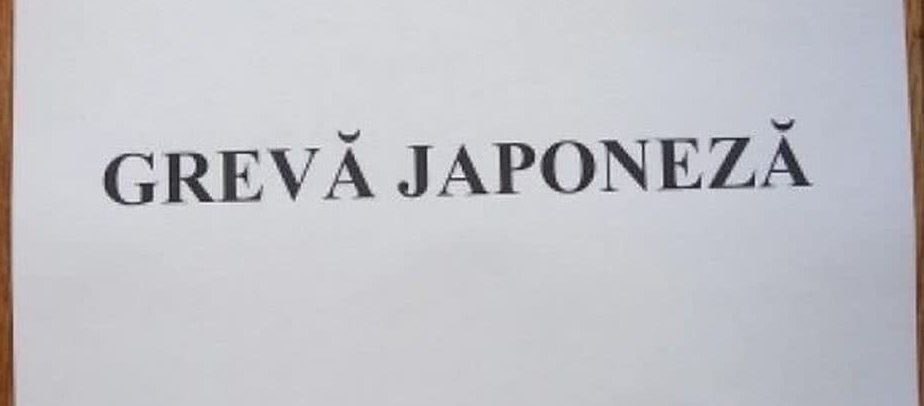 Salariaţii din unităţile subordonate Ministerului Tineretului şi Sportului sunt în grevă japoneză