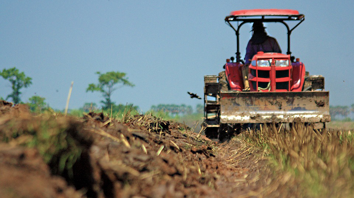 Producătorii agricoli vor primi un avans din plăţile directe pe suprafaţă