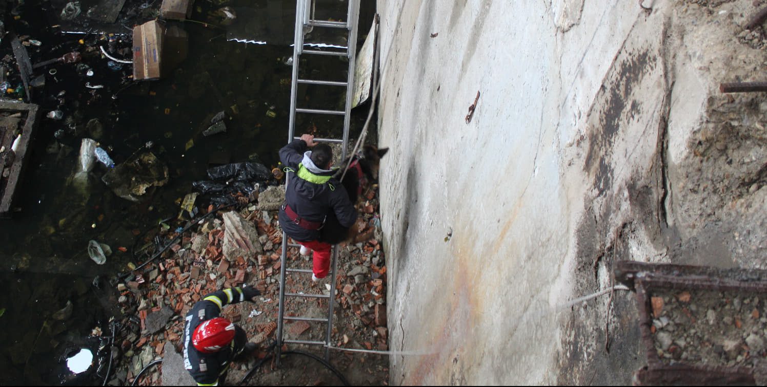 (FOTO/VIDEO)Vrancea: O altfel de misiune. Pompierii au salvat un câine căzut într-o groapă adâncă de circa 8 metri