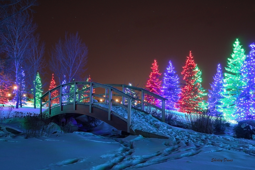 Concurs de creaţie literară în limba engleză „Winter Wonderland” 2018