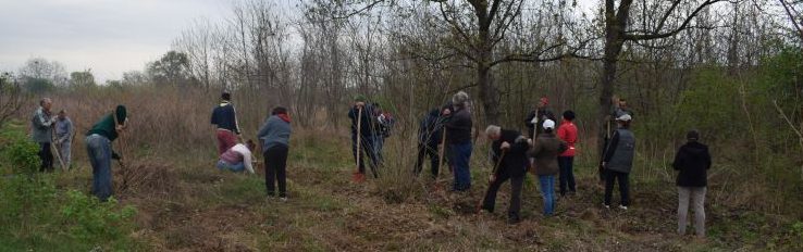 #CentenarulMariiUniri Iaşi: O mie de stejari vor fi plantaţi în Parcul Memorial din Ciurea