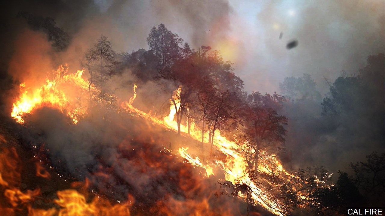 Incendiu în Statele Unite: 42 de morţi, bilanţul cel mai grav din istoria Californiei