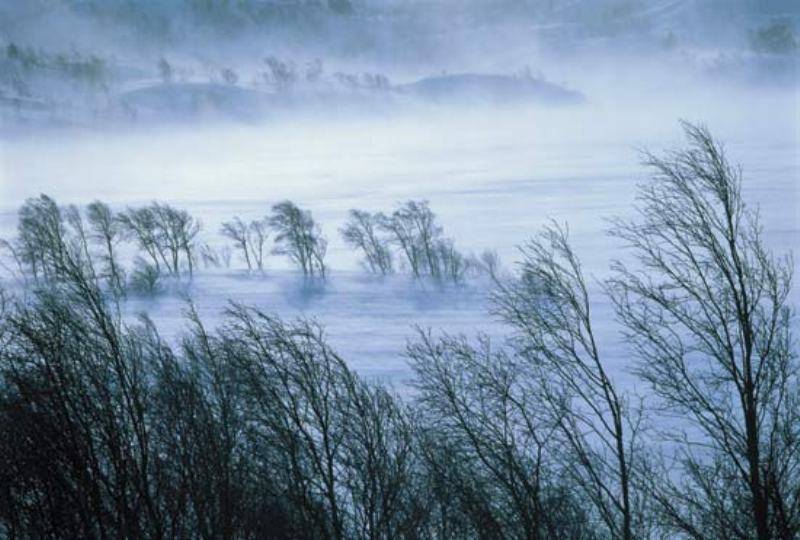 (NOW CASTING) Atenţionare meteo COD GALBEN de vânt în judeţele Suceava şi Neamţ