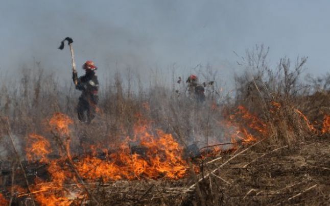 Apel al autorităţilor vasluiene către cetăţeni de a nu mai incendia vegetaţia uscată