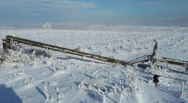 (AUDIO) Vaslui: Peste 2500 de locuitori ai comunei Vinderei nu au curent electric